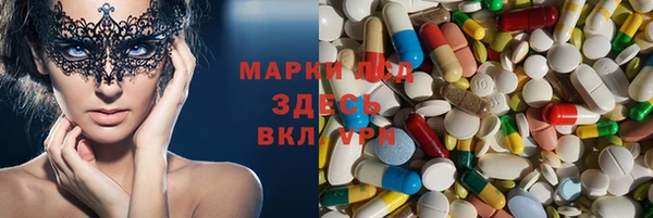 спайс Аркадак
